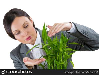 Adult business woman taking care about her plant. Safety and confidence guaranty for young business concept
