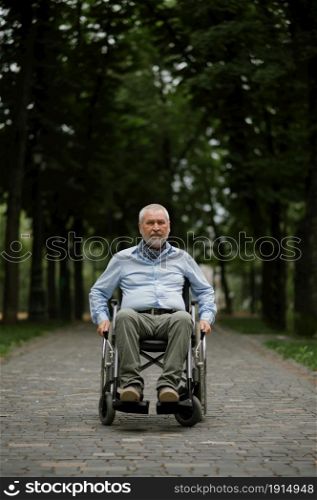 Adult disabled man in wheelchair walking in summer park. Paralyzed people and disability, handicap overcoming. Handicapped male person leisures in public place. Adult disabled man in wheelchair walking in park