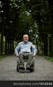 Adult disabled man in wheelchair walking in summer park. Paralyzed people and disability, handicap overcoming. Handicapped male person leisures in public place. Adult disabled man in wheelchair walking in park