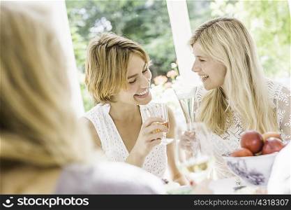 Adult sisters making a toast at birthday party