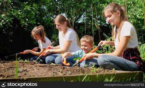 Adults and children digging soil at garden and planting fresh organic vegetable seedlings.. Adults and children digging soil at garden and planting fresh organic vegetable seedlings