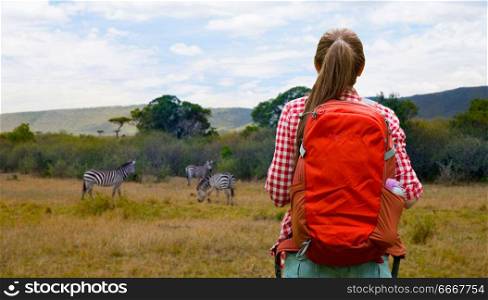 adventure, travel, tourism, hike and people concept - young woman with backpack over zebras in african savannah background. woman with backpack over african savannah. woman with backpack over african savannah