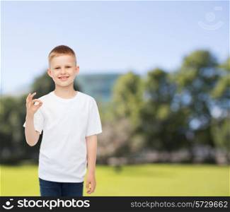 advertising, summer, gesture people and childhood concept - smiling little boy in white blank t-shirt showing ok sign over park background