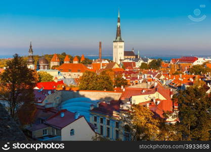 Aerial cityscape with Medieval Old Town and St. Olaf Baptist Church in Tallinn in autumn evening, Estonia