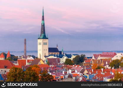 Aerial cityscape with Medieval Old Town and St. Olaf Baptist Church in Tallinn in autumn evening, Estonia. Aerial view old town, Tallinn, Estonia