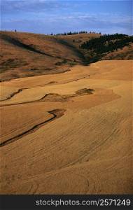 Aerial, Farm country, Washington State