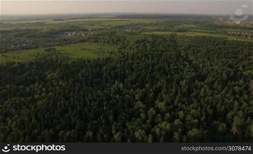 Aerial flight above the huge forest with green trees in day time at summer against horizon, Russia