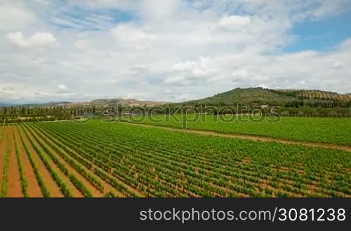 Aerial flight over the grape fields. Aerial view with background of blue sky and clouds in Tuscany, Italy