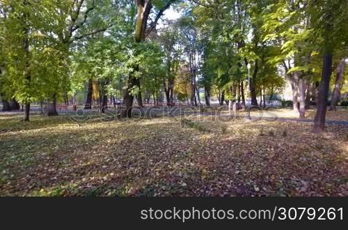Aerial footage of autumnal nature scenery in city park. Beauty nature scene at fall season and empty benches.