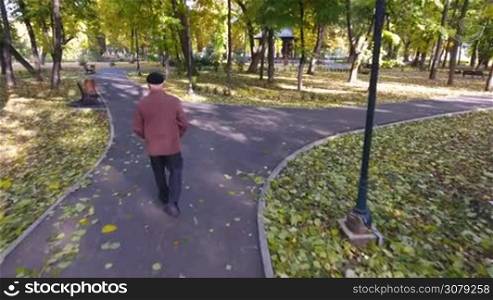 Aerial footage of elderly man walking alone in the park in autumn.