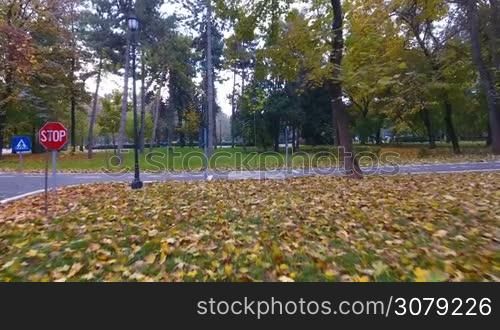 Aerial footage of road signs for the ride cyclists in city park with fallen autumn leaves.