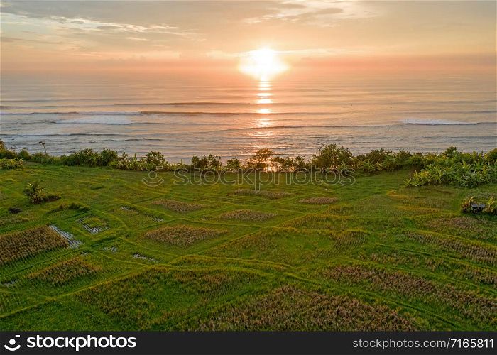 Aerial from a balinese landscape with rice fields and the indian ocean on the west coast from Bali in Indonesia at sunset