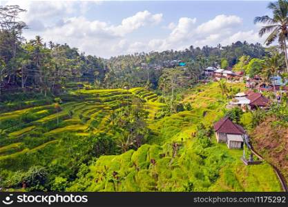 Aerial from Jatiluwih Rice Terrace on Bali Indonesia