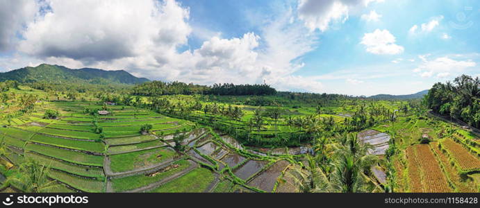 Aerial from rice fields in Sidemen on Bali Indonesia