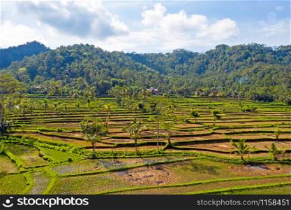 Aerial from rice fields in Sidemen on Bali Indonesia