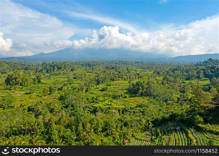 Aerial from rice fields in Sidemen with Mount Agung in the background on Bali Indonesia