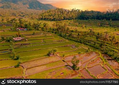 Aerial from rice terraces in Sidemen on Bali Indonesia at sunset