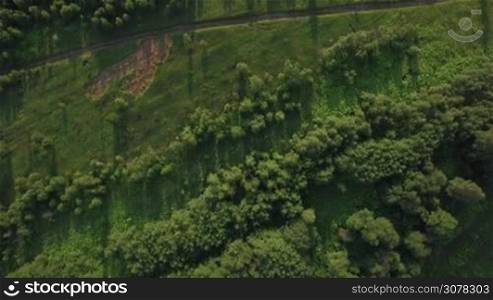 Aerial green landscape with forests and fields in Russia. Countryside in summer