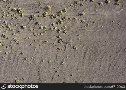 Aerial image of a desert