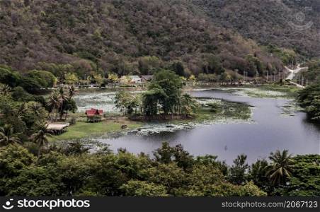 Aerial landscape of swamp lake in the middle of dense green forest the valley. Focus and blur.