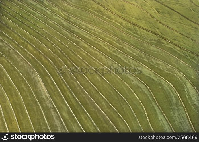Aerial of cultivated agricultural field.