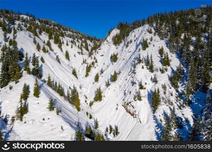  Aerial of evergreen trees on snow covered mountain	