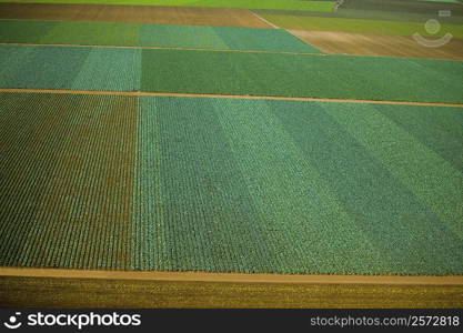 Aerial of farm fields