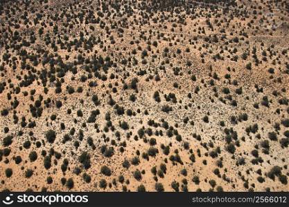 Aerial of low growing shrubs in desert landscape of Utah, USA.