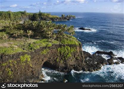 Aerial of Maui, Hawaii rocky coast.