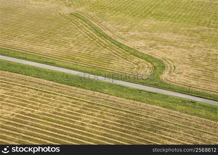 Aerial of rows in agricultural cropland.