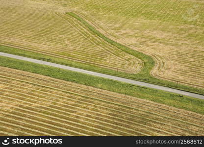 Aerial of rows in agricultural cropland.