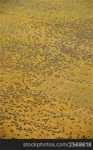 Aerial of rural grassland in California, USA.