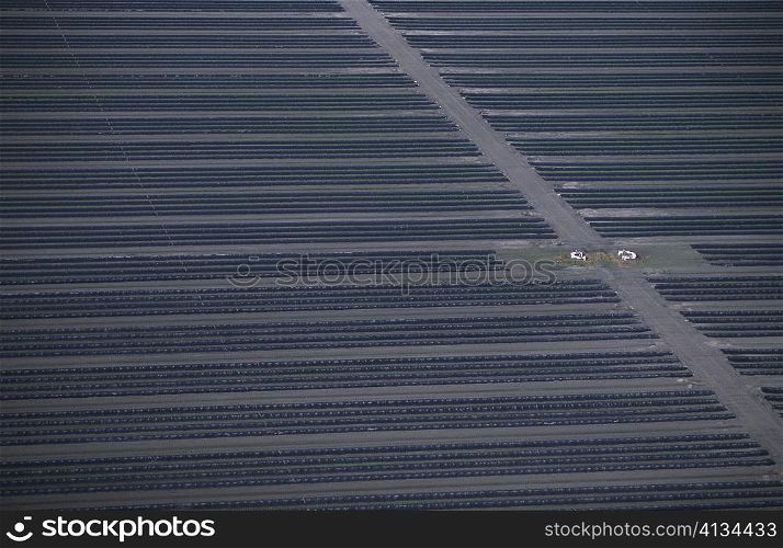 Aerial of strawberry farm, Florida