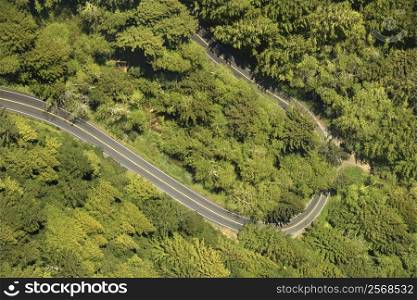 Aerial of winding scenic highway with trees in rural California, USA.
