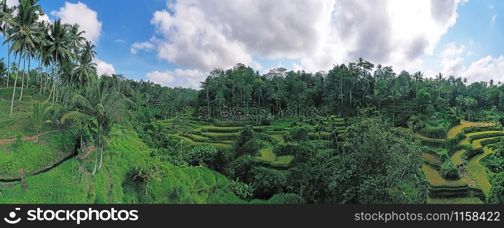 Aerial panorama from Jatiluwih Rice Terrace on Bali Indonesia