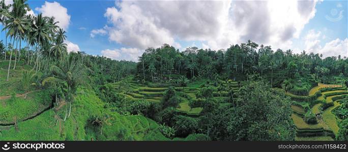 Aerial panorama from Jatiluwih Rice Terrace on Bali Indonesia