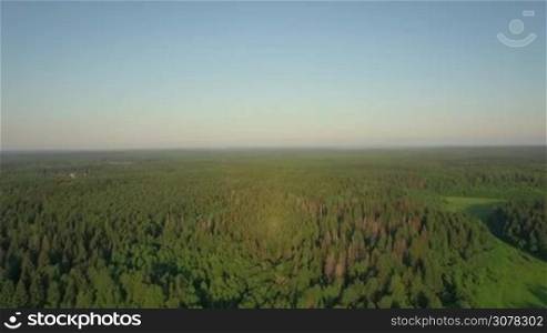 Aerial panorama of green woods. Vast expenses of wild nature and forests in Russia