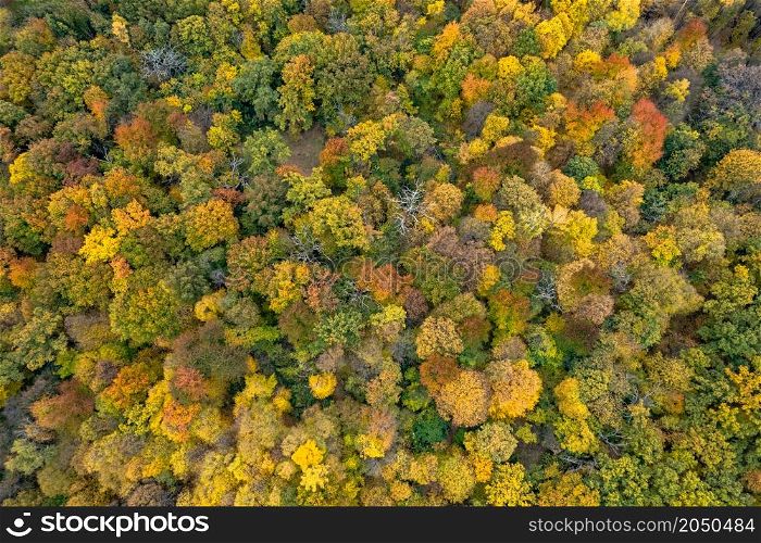 Aerial panoramic landscape from drone on autumn mixed forest with colorful leaves on trees. Seasonal beauty of nature.. Aerial landscape from drone on autumn forest