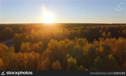 Aerial panoramic of the golden mixed hardwoods in the evening in the sunset