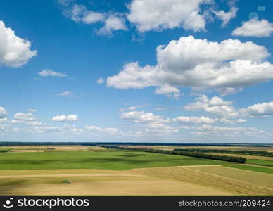 Aerial panoramic view from drone of agricultural fields with harvesting of a combine and blue sunny sky, white clouds in a summer day at sunset.. Summer landscape with agricultural fields, harvesting on a backgground of the blue sky and white clouds in a sunny day. View from drone.