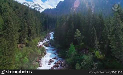 Aerial panoramic view of a river in the pine forests in the mountains of Austria.