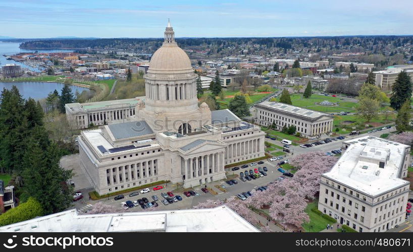 Aerial Perspective Over Spring Cherry Blossoms at the Washington State Capital building in Olympia