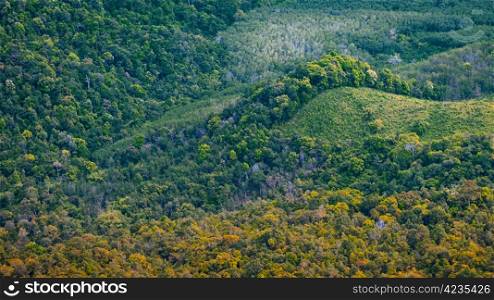 Aerial photo of forest in Thailand