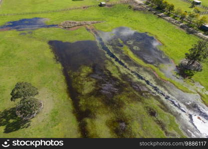 Aerial photograph of flooding in an agricultural field in New South Wales in Regional Australia