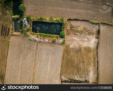 Aerial picture of a large agricultural plot Preparing to grow rice, Drone photography
