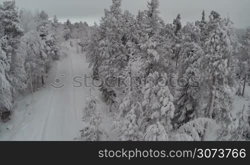 Aerial shot of a road in pine wood leading to winter recreation by the lake. Nature scene with snow covered trees