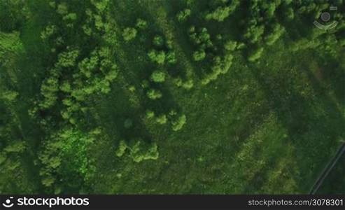 Aerial shot of green forest and plain. Summer nature scene in Russia