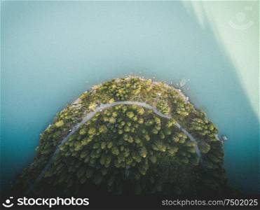 Aerial shot of trees at a mountain lake