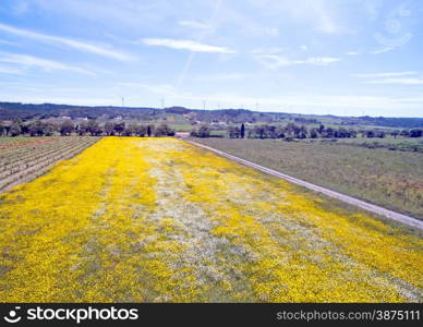 Aerial spring landscape in Portugal