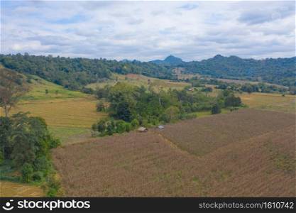 Aerial top view of dry grass, rice and crops field with green mountain hill in agriculture concept. Nature landscape background in Thailand. Harvest. drought.